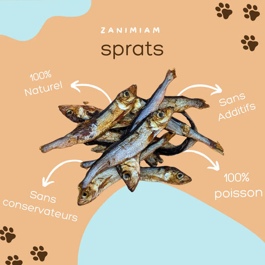 Sprats