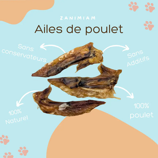ailes_de_poulet