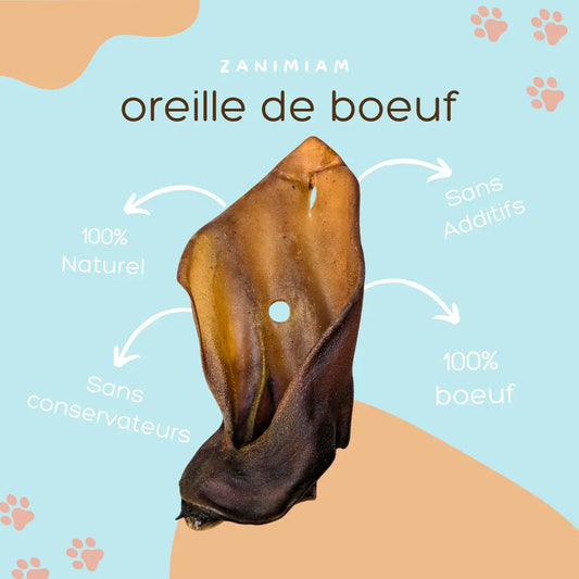 oreille_de_boeuf