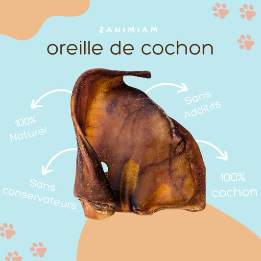 oreille_de_cochon