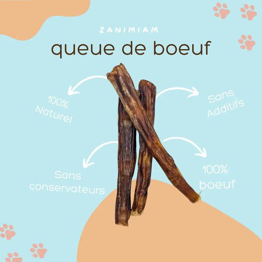 queue_de_boeuf