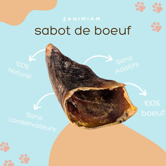 sabot_de_boeuf
