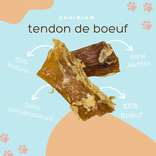 tendon_de_boeuf