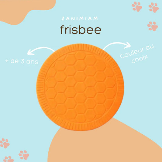 Frisbee