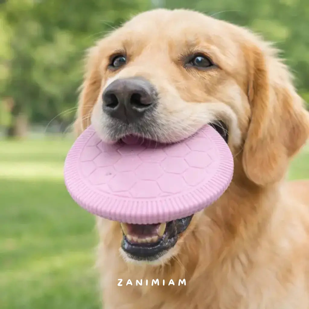 frisbee golden