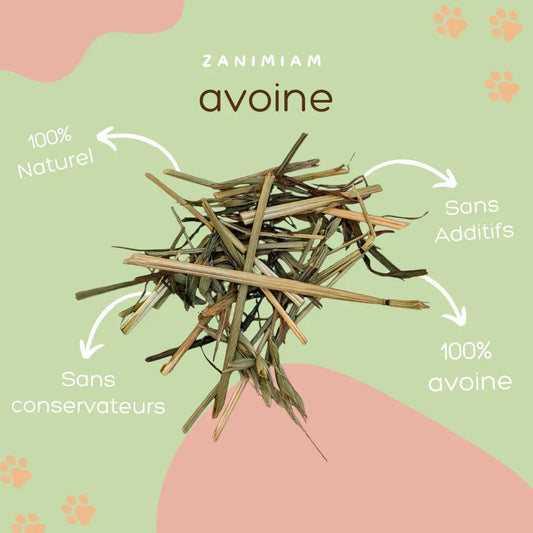 avoine