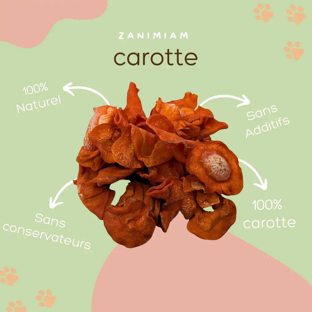 carotte