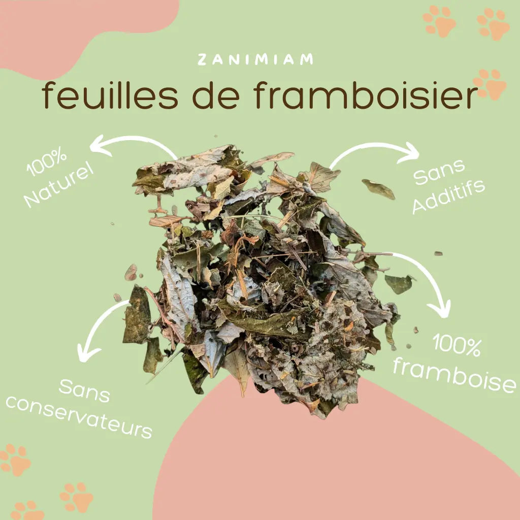feuilles_de_framboisier