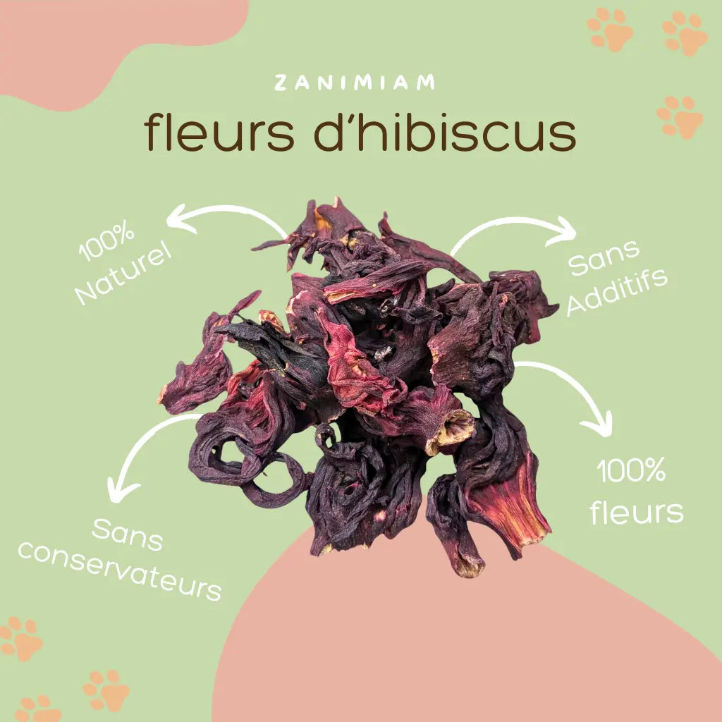 fleurs_d_hibiscus