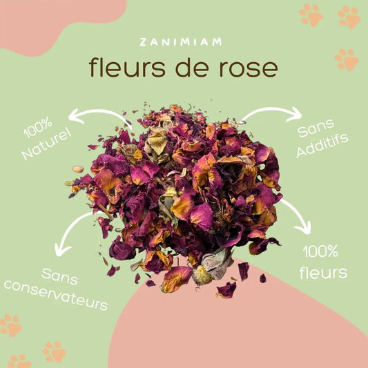 fleurs_de_rose