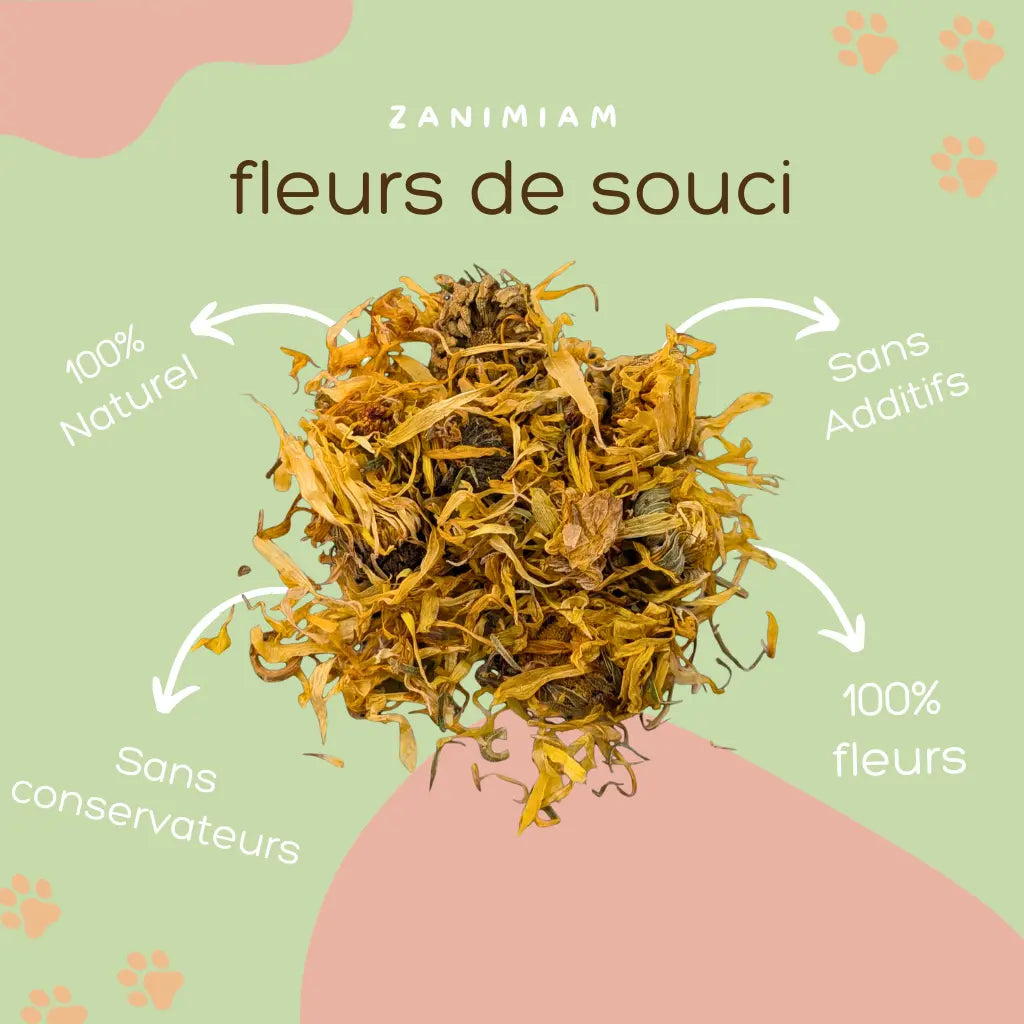 fleurs_de_souci