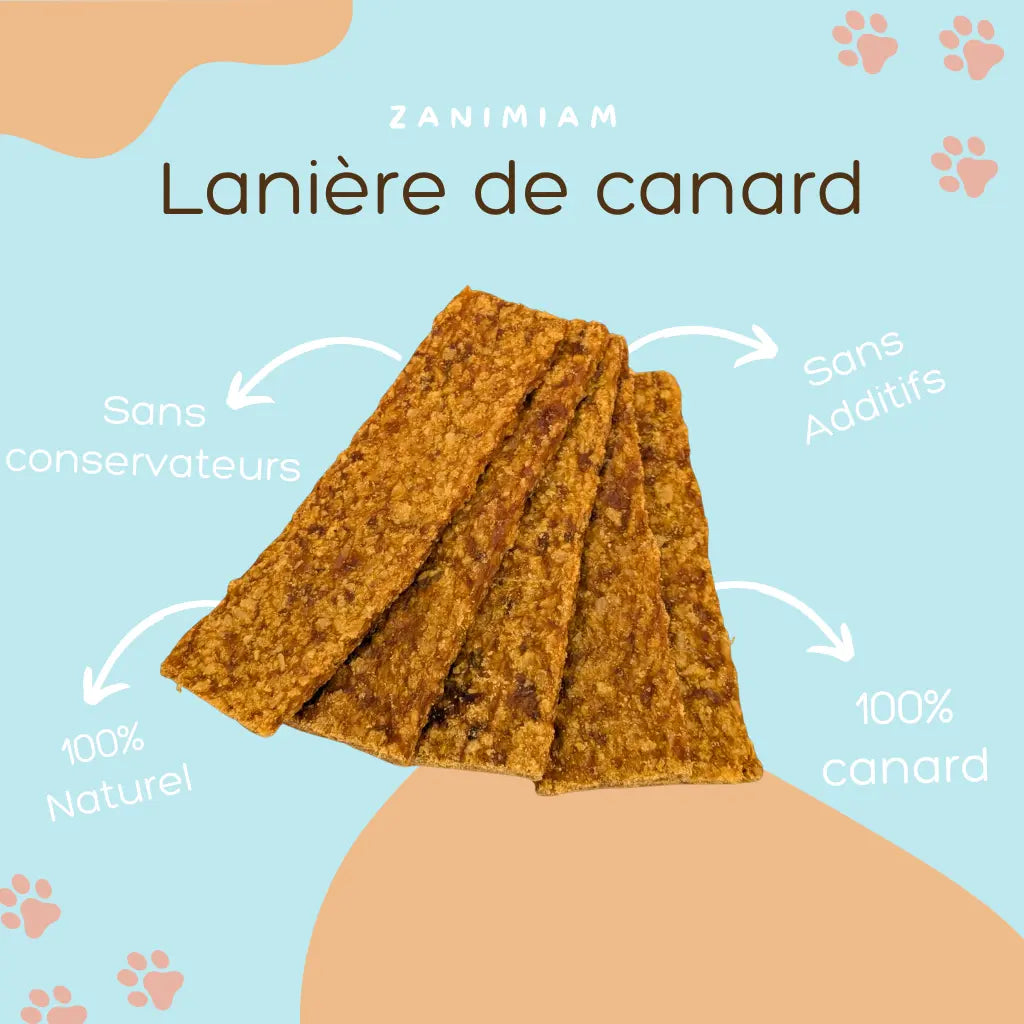 laniere_de_canard
