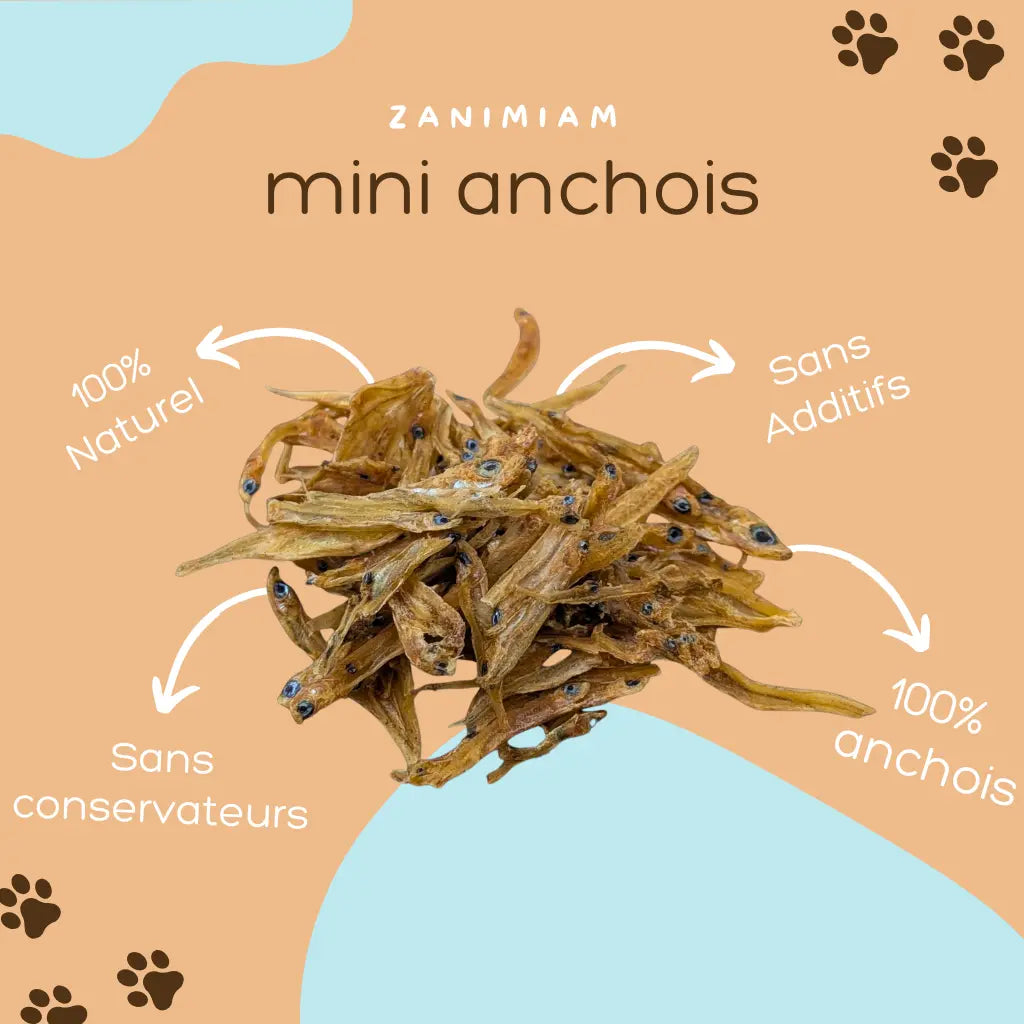 mini_anchois
