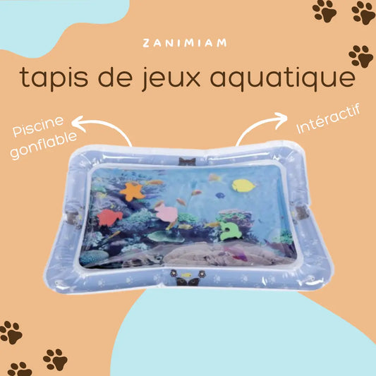 tapis de jeux gonflable chat