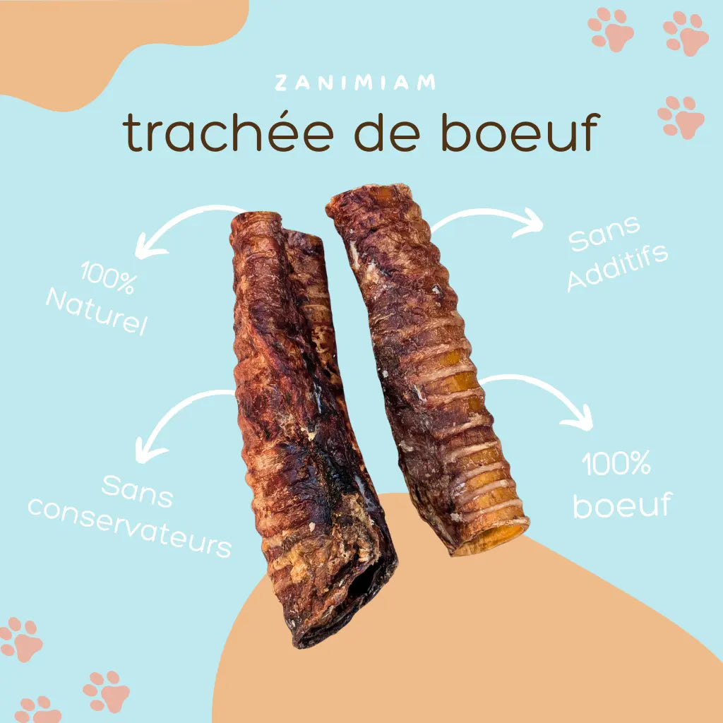 Friandises naturelles pour chien