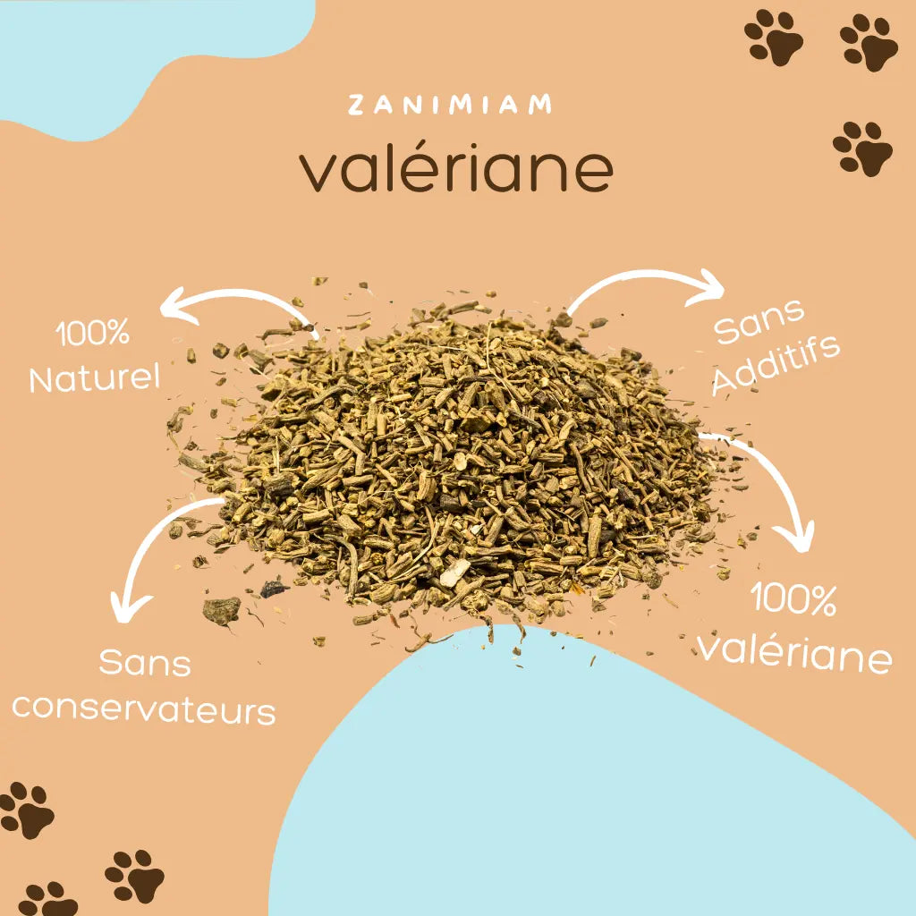 valeriane